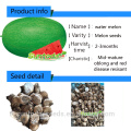 Suntoday resiant para aquecer a relíquia verde frio melhorar a fruta para plantar sementes imagem híbrido vegetal F1 sementes de melão de água sudão